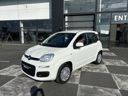 FIAT Panda 1.2 8v 69ch S&S Easy  Euro6D à vendre à Châteauroux - Image n°1