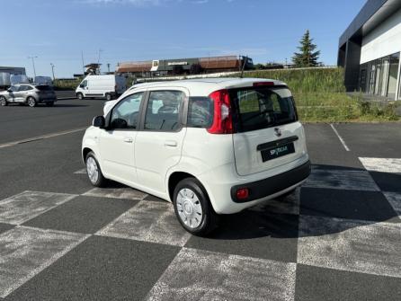 FIAT Panda 1.2 8v 69ch S&S Easy  Euro6D à vendre à Châteauroux - Image n°7