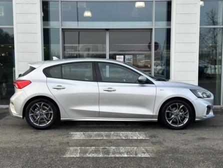FORD Focus 1.5 EcoBlue 120ch ST-Line à vendre à Gien - Image n°4
